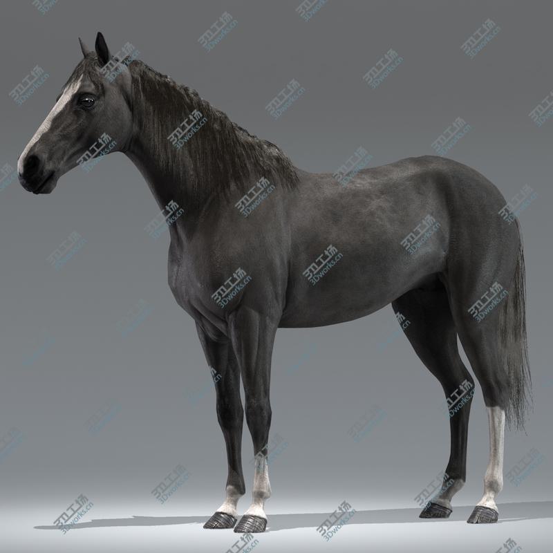 images/goods_img/202104022/Horse (Black)/2.jpg